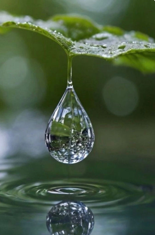 Way of Water: Power and Adaptability