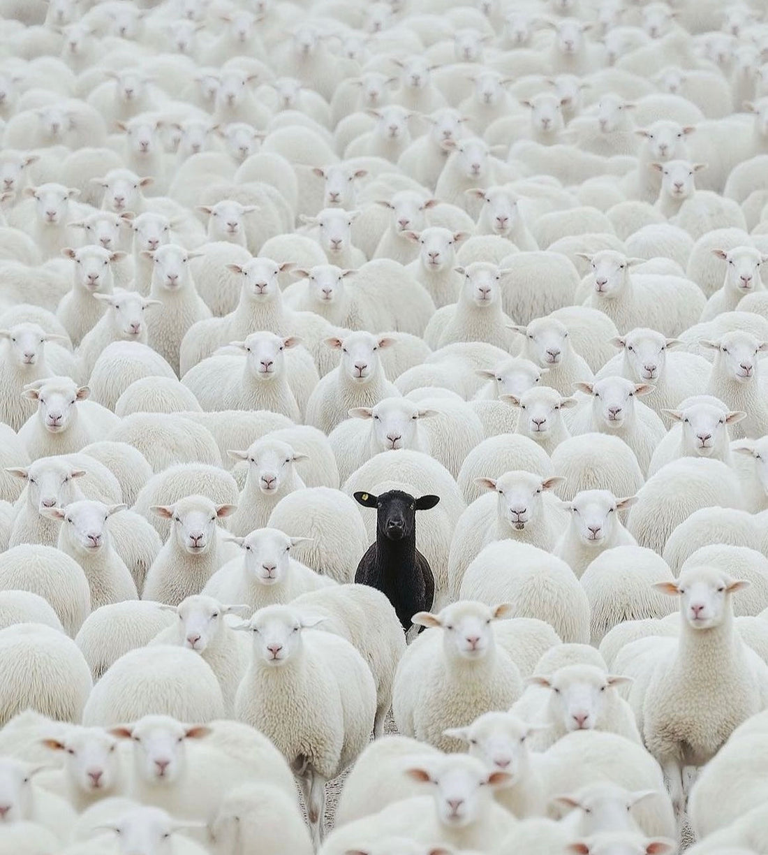 Divine Detours: Trusting the Journey